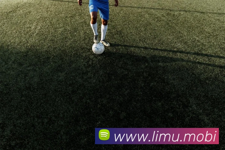 多媒体互动体验